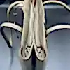 La moda Omuz Askılı Hakiki Deri Kadın Çantası